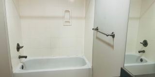 1 Bed, 1 Bath at Carolina Walk - Steps from Williams Brice Stadium! Gallery 17