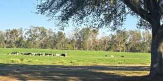 3674 Biltmore Avenue Gallery 3