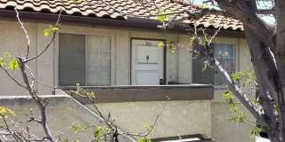 26172 Sanz Gallery 1