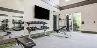 Century University City Gallery 5