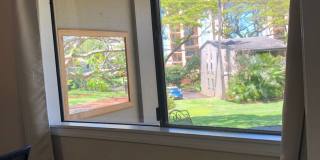 Pohailani Condos 2BD/1BTH Gallery 11