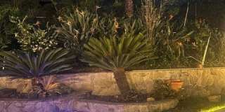 25432 Nottingham Court Gallery 50