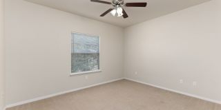 Bowie Garden Gallery 28