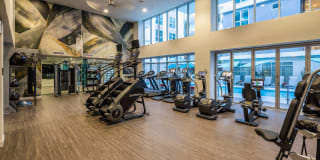 Next on Sixth Gallery 31