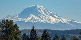 The Verge Gallery 44