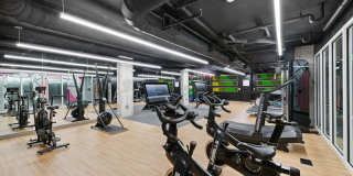 Collection 14 Gallery 13