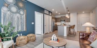 Jovia Gallery 52