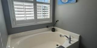 1411 Hamlin Park Circle Gallery 14