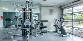 Amelia at Deerwood Gallery 3