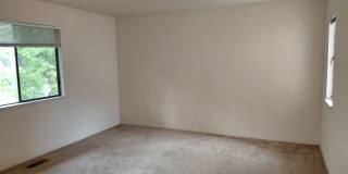 358 Pimlico Drive Gallery 14