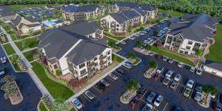 The Canter The Canter Gallery 11