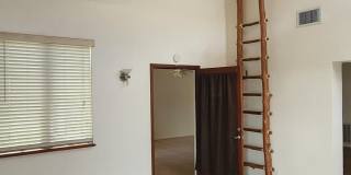 1041 Bali Road Gallery 11