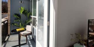 Avalon Hunt Valley and Hunt Valley West Gallery 5