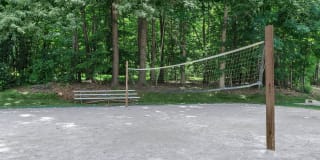 Walden Pond Gallery 9