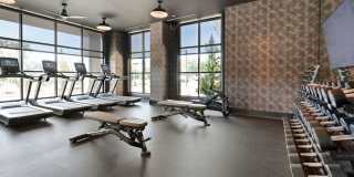 Madison West Elm Gallery 53