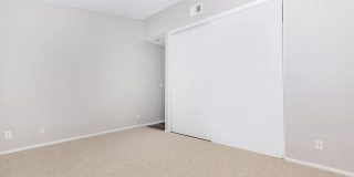 Mountain Springs Gallery 32