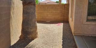 Gilbert location Gallery 4