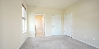 5335 PALOMINO COURT 5335 PALOMINO COURT Gallery 17