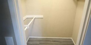 10332 Caminito Aralia Gallery 13