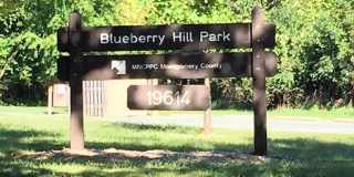 7706 HAVENSIDE Terrace Gallery 39