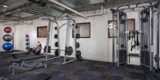 The Oliver The Oliver Gallery 9