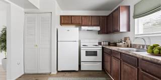 Misty Pines Gallery 2