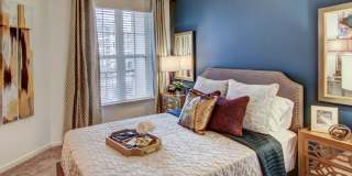 Allure Apollo Gallery 2