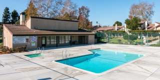 Scandia Pines Condo- Great Amenities!! Scandia Pines Condo- Great Amenities!! Gallery 22