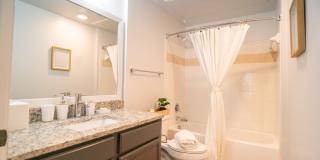 Palmera on 3009 Gallery 12