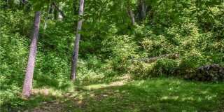 543 College Street Gallery 18