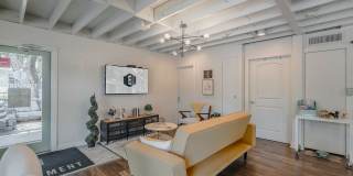 Establishment Gallery 9