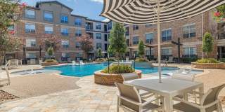 Auxo at Memorial Gallery 18