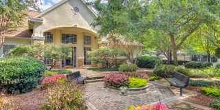 Grande Club Gallery 19