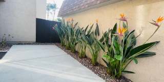 4459 Anne Sladon Street Gallery 20