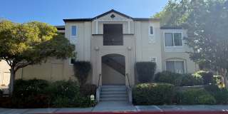 Bright Updated 1 Bedroom 1 Bath Condo in North San Jose Gallery 1