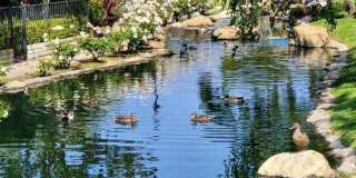 3046 Winding Lane Gallery 32