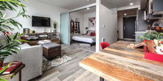Zig Apartments Gallery 7