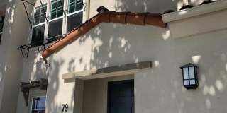 79 Palm Drive Gallery 1