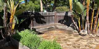 Charming 2 bdrm, 1 bath, + Bonus Room Gallery 20