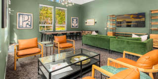 Canopy Gallery 37
