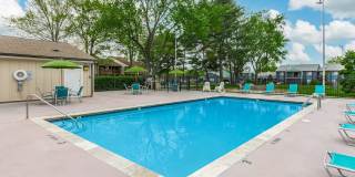 Sussex Downs Gallery 71