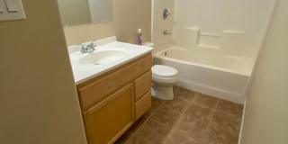 Uniquely Designed & Updated 3 Bedroom, 2 Bathroom Home! Gallery 11