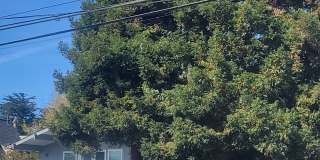 224 Center Avenue Gallery 1