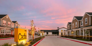 Cadia Sherman Gallery 47