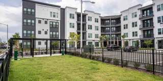 The Citizen at Waterset Gallery 33