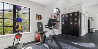 Alvista Hollywood Gallery 24