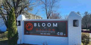 1219 W. Emery Street Gallery 7