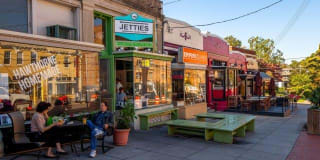 The Elaine Gallery 11