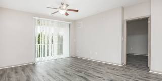 RIZE at Winter Springs Gallery 158