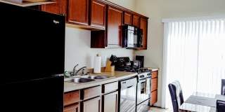 Stanley Point Gallery 1